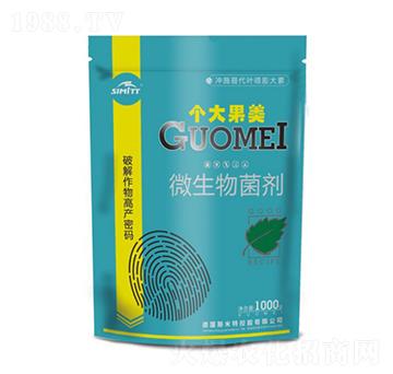 1000g΢�������-�������-����S�r(n��ng)�I(y��)