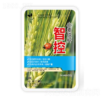 小麥專(zhuān)用含腐植酸水溶肥料-智控-暢瞬