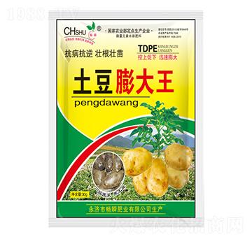 土豆膨大王-暢瞬