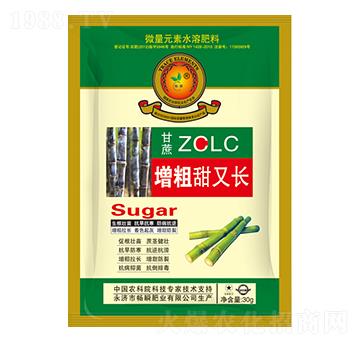 甘蔗增粗甜又長(zhǎng)-暢瞬