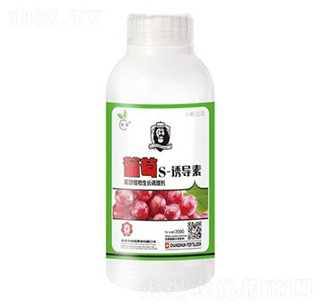 葡萄S-誘導(dǎo)素-暢瞬