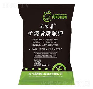 �VԴ�S�����-���f��