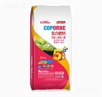 ��(f��)�Ϸ���18-22-8-�����Z-����