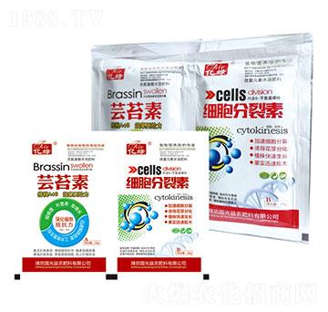 �|̦��+����������-�������r(n��ng)