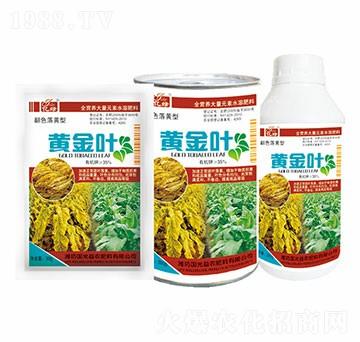 ��ɫ���S��-�S���~-��(gu��)�����r(n��ng)