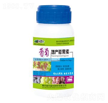 �������a(ch��n)�����-�������r(n��ng)