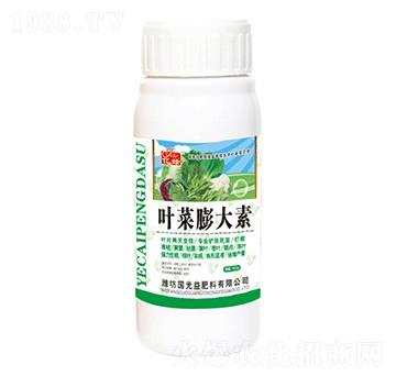 �~�������-��(gu��)�����r(n��ng)