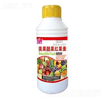 �����n�������-�������r