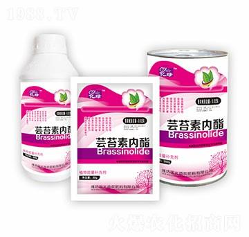 �|̦�؃�(n��i)���M��-��(gu��)�����r(n��ng)