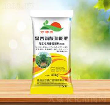 �۹Ȱ��Ṧ�ܷ�-ʢ�A�r(n��ng)�I(y��)