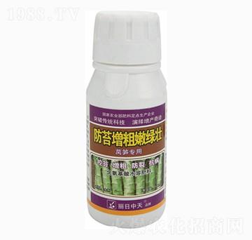萵筍專(zhuān)用防苔增粗嫩綠壯-中天肥業(yè)