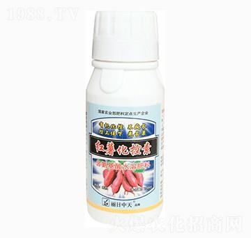 含氨基酸水溶肥料-紅薯化控素-中天肥業(yè)