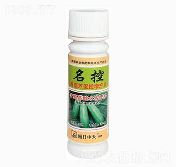 西葫蘆促控增產(chǎn)靈-名控-中天肥業(yè)