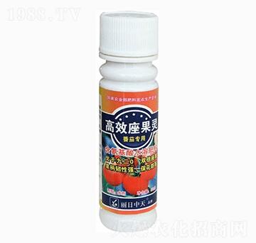 番茄專(zhuān)用高效座果靈-中天肥業(yè)