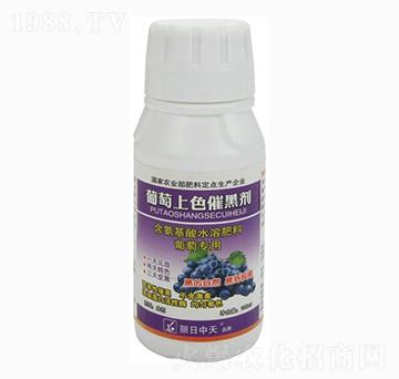 葡萄上色催黑劑-中天肥業(yè)
