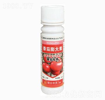 番茄專(zhuān)用含氨基酸水溶肥料-番茄膨大素-中天肥業(yè)