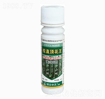 黃瓜專(zhuān)用含氨基酸水溶肥料-拉直頂花王-中天肥業(yè)