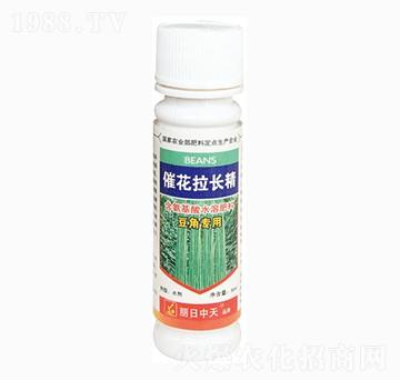 豆角專(zhuān)用催花拉長(zhǎng)精-中天肥業(yè)