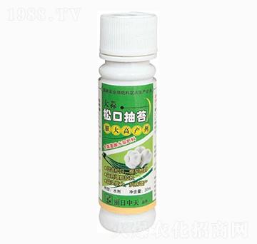 大蒜松口抽苔膨大高產(chǎn)劑-中天肥業(yè)