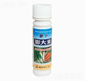 蘿卜膨大素-眼見(jiàn)長(zhǎng)-中天肥業(yè)
