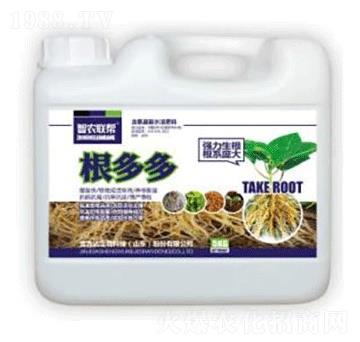 根多多（桶）-金吉達(dá)