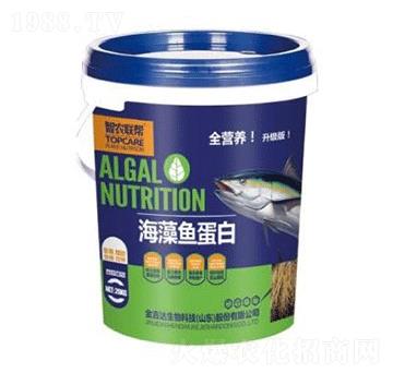 海藻魚(yú)蛋白（桶）-金吉達(dá)