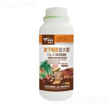地下根莖膨大素-金吉達(dá)