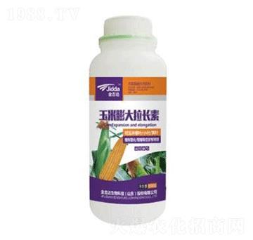 玉米膨大拉長(zhǎng)素-金吉達(dá)