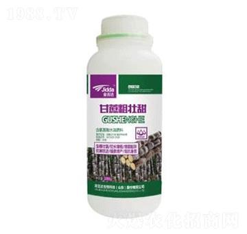 甘蔗粗壯甜-金吉達(dá)