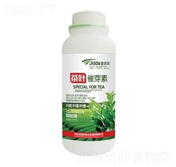 茶葉催芽素-金吉達(dá)