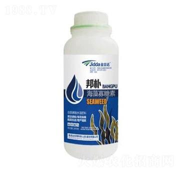 海藻寡糖素-金吉達(dá)