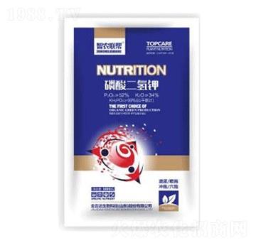 ��������-���_(d��)