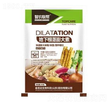 ���¸��o�����-���_