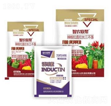 辣椒拉直拉長(zhǎng)三不落-金吉達(dá)