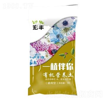 �ЙC(j��)�I�B(y��ng)��-ֲ����-���S