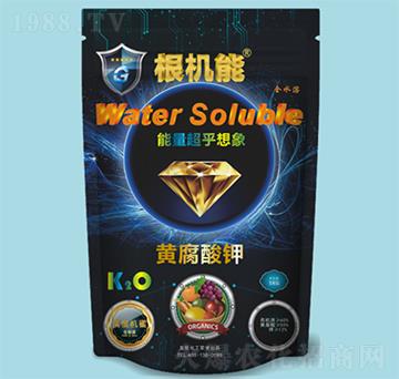 �S�����-���C(j��)��-��������