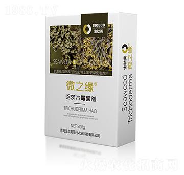 ����ľù����-΢֮��-������