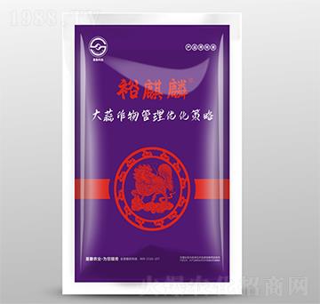 大蒜作物管理優(yōu)化策略-裕麒麟-圣勤農(nóng)業(yè)