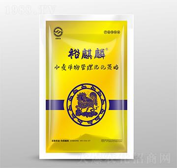 С��������탞(y��u)������-ԣ����-ʥ���r(n��ng)�I(y��)