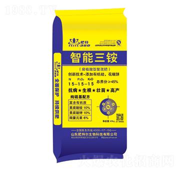 ��ֲ���͏�(f��)���15-15-15-�������@-���ؠ�