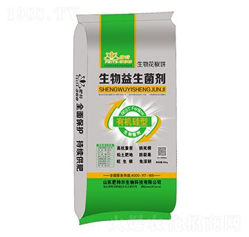 �ЙC����������������-���ؠ�