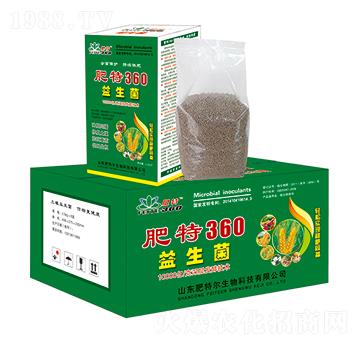 ������-����360-���ؠ�