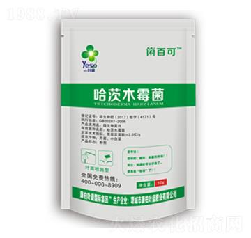 ����ľù��-�~ʢ����