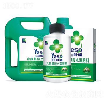 大蒜專用含氨基酸水溶肥料-葉盛生物