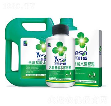 韭菜專用含氨基酸水溶肥料-葉盛生物