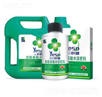 辣椒專用含氨基酸水溶肥料-葉盛生物