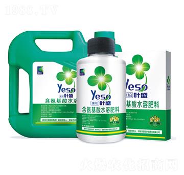 玉米專用含氨基酸水溶肥料-葉盛生物