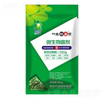 �~ʢ̼����-�~ʢ����