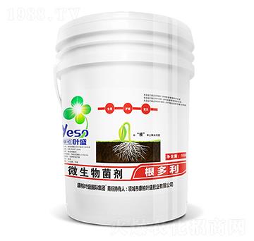 ΢�������-�������_ʩ��-�~ʢ����