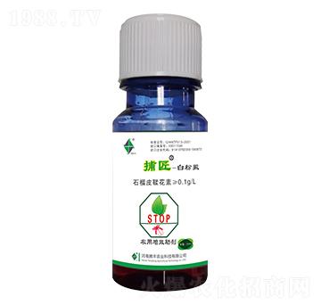 �׷�ʭ��(zhu��n)�ò���-�v�S�r(n��ng)�I(y��)